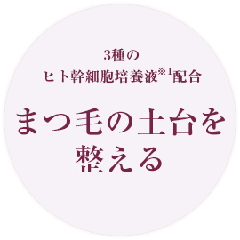 まつ毛の土台を整える