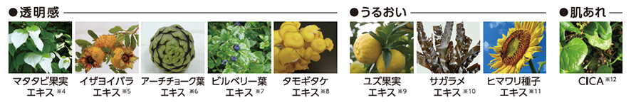植物エキスでスキンケアアプローチ