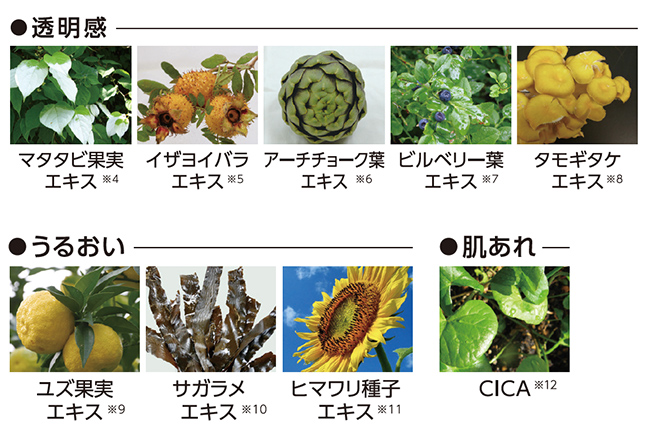 植物エキスでスキンケアアプローチ