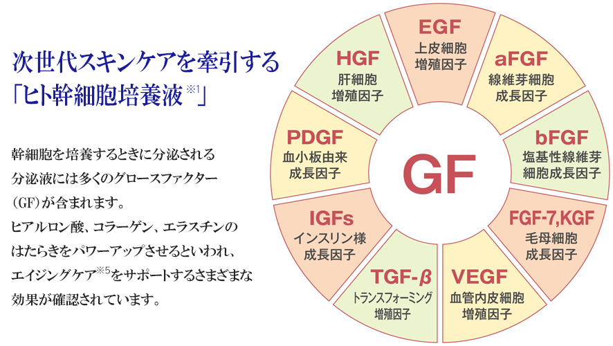 幹細胞を培養するときに分泌される分泌液には多くのグロースファクター（GF）が含まれます。ヒアルロン酸、コラーゲン、エラスチンのはたらきをパワーアップさせるといわれ、エイジングケアをサポートするさまざまな効果が確認されています。