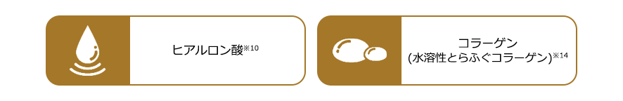 うるおいあふれる肌に導く